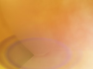 科普自然探奇：热带雨林的生物多样性奥秘